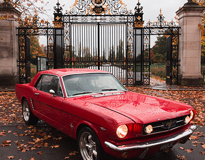 Mike Savage New Canaan | Finest Vintage Cars