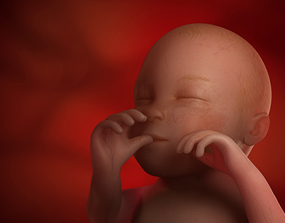 3 month baby in 3D