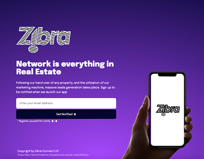 Landing page for Zibra