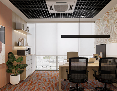 Office Interiors for MetaDesign Consultant