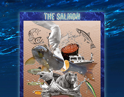 The Salmon