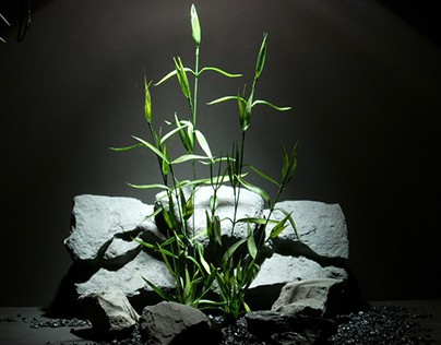 plastic aquarium plant | bamboo