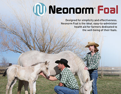Neonorm Foal