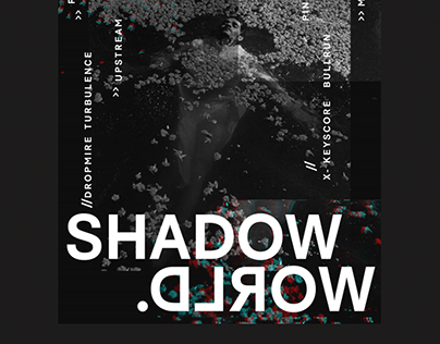 Zine Editorial: Shadow World