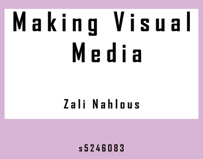 Making Visual Media - Zali Nahlous