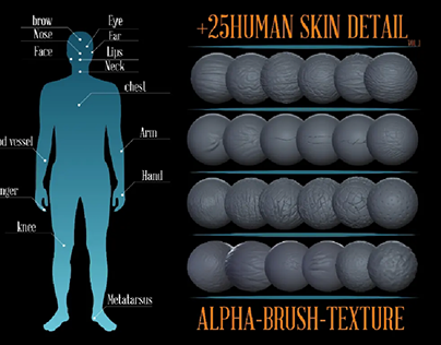 human skin brush and alpha