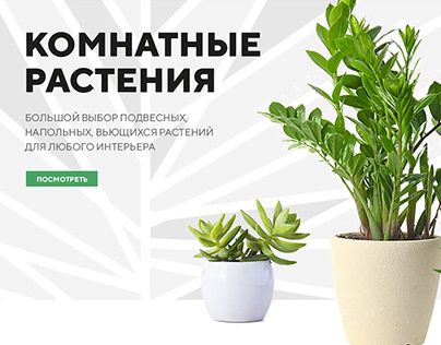 Дизайн сайта комнатных растений