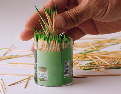 TOOTHPICK PHOTOGRAPHY