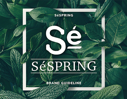 SéSpring BI Design Project
