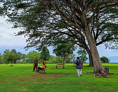 Trees, Chairs, and People in Ratu Boko Palace Park