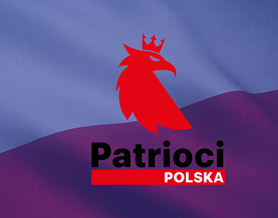 Patrioci Polska- moja koncepcja partii politycznej