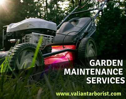 Garden Maintenance Services - Valiant Arborist Ltd