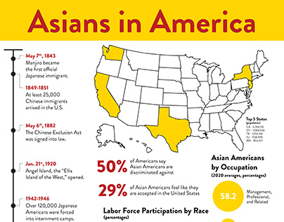 Asian American Visibility Infographic