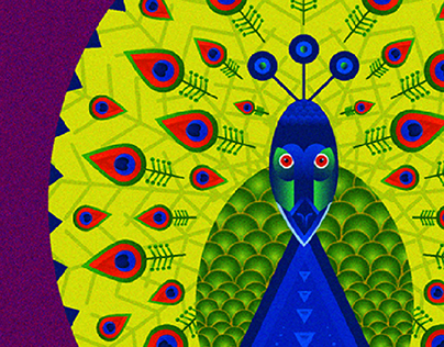 Geometric illustration - peacock