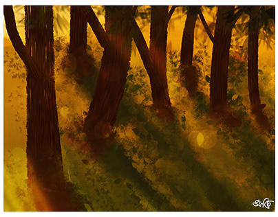 Sunlight through the woods