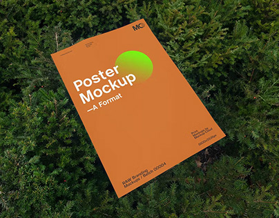 Free Posters Mockups
