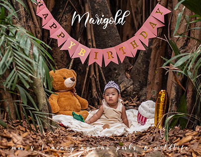 Marigold's | Wildlife, QC | March 8, 2020