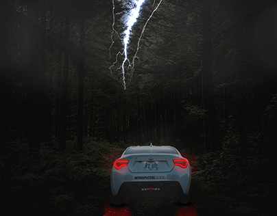 Car in the woods