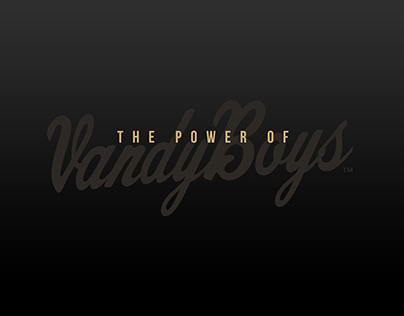 Project thumbnail - The Power of Vanderbilt Baseball