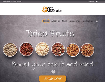 DRIED FRUITS Website Design