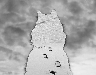 Wolf / Digital Collage