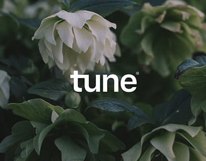 Tune | Branding