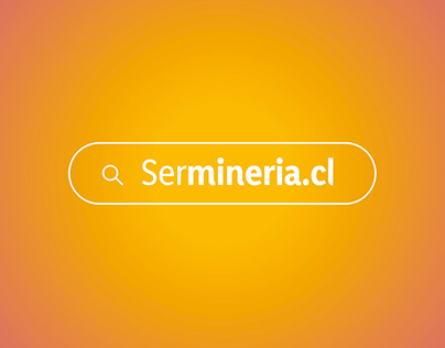 Vide Caso Sermineria.cl