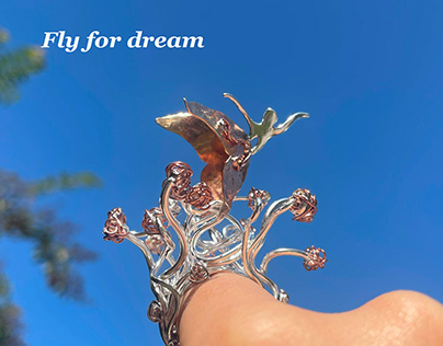 Fly for dreams
