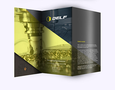 Delf Promo Brochure
