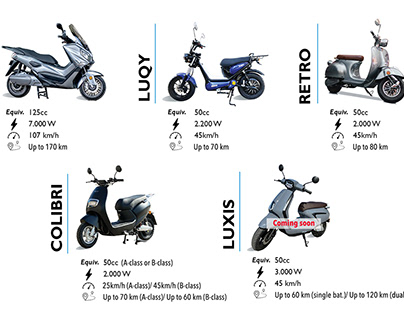 Buy Electric Maxi Scooter