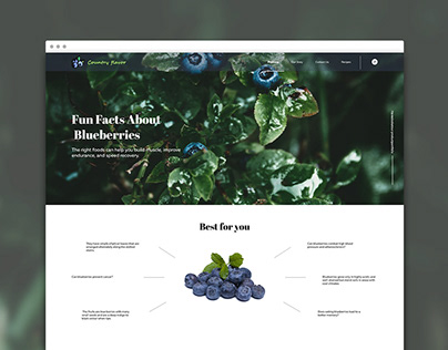 Blueberry, Country Flavor Web Page Design