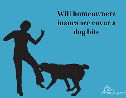 Will Homeowners Insurance Cover a Dog Bite?