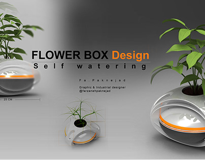 Self Watering Flower Box