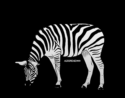 Zebra BW