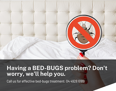 Bed-Bugs treatment