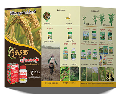 Rice Crop solution
