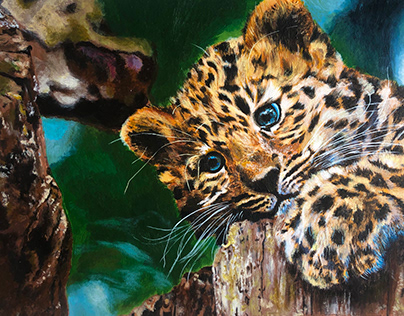 Leopard's cub