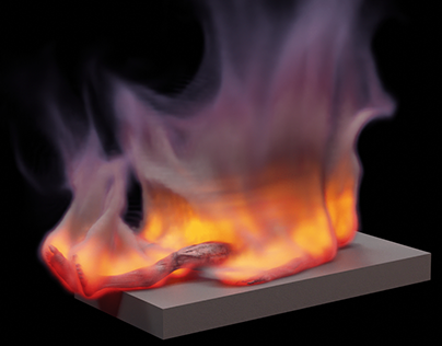 fire simulation