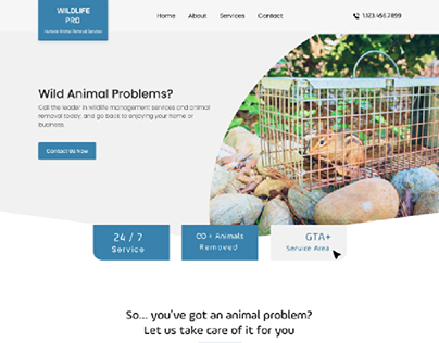 Web Design Animal website