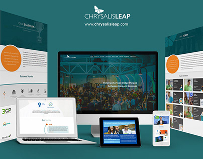Web design and web development for ChrysalisLeap