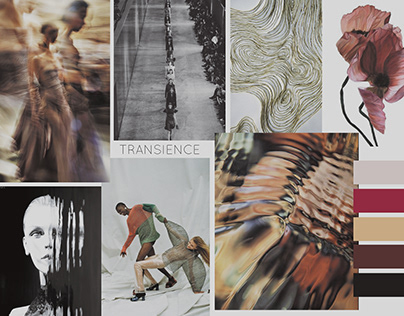 TRANSIENCE COLLECTION CLO3D
