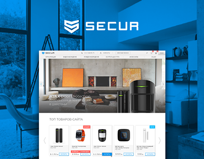 Secur security systems. Identity and Web