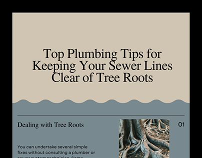 Tips for Keeping Your Sewer Lines Clear of Tree Roots