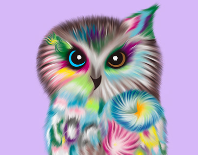 Rainbow Owl - Illustration