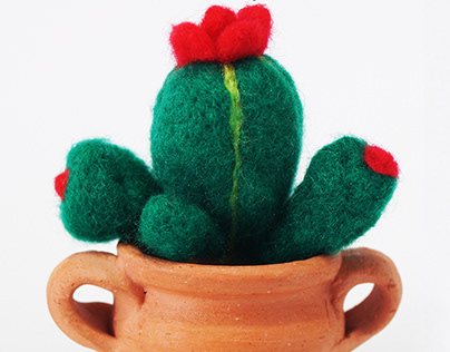 Cactus con Fieltro
