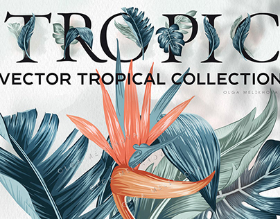 Tropical collection - VECTOR