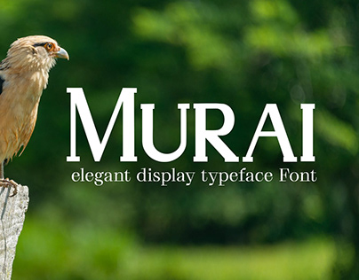 Murai elegant display typeface Font Free