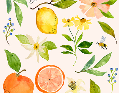 Citrus Floral Print