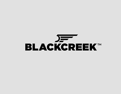 Project thumbnail - Blackcreek Labs