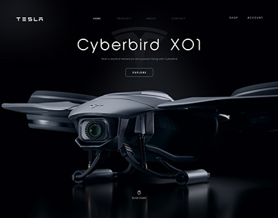 Cyberbird X01